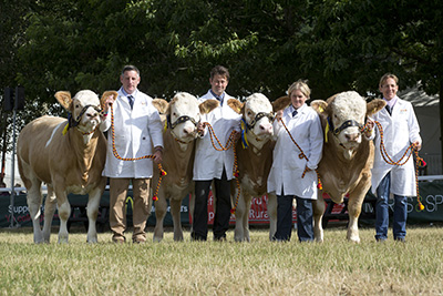 Read more about the article Reserve junior champion for Williams Wendy’s Dromeda at Royal Norfolk Show
