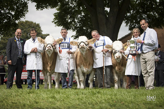 Read more about the article Tristar breeding to the fore at  English National Show