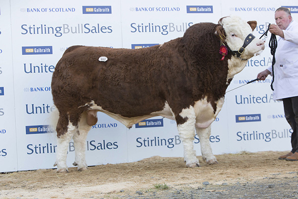 Read more about the article Williams Eddie sells for 12,000gns in Stirling